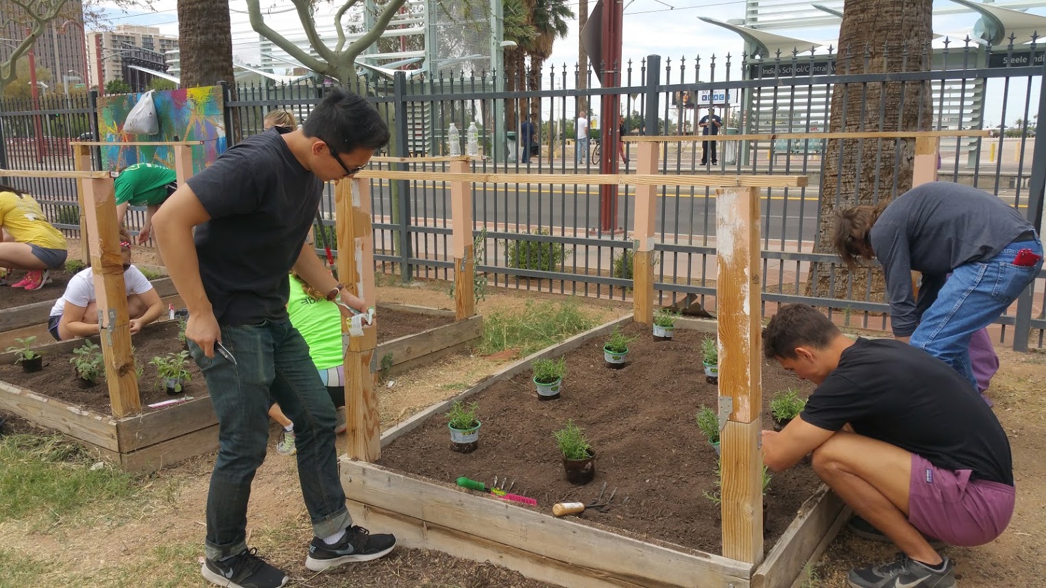 Community Garden Phoenix MANA House