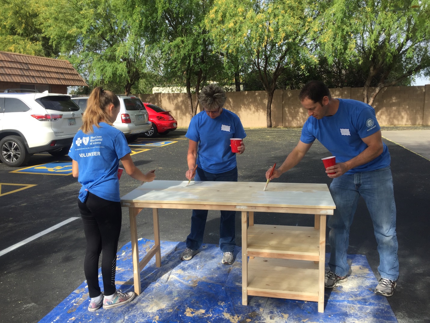 BCBS Volunteers