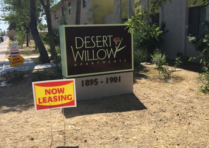 desert willow 730x516