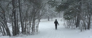 PATH staff searching in storm for the homeless on Dec. 31, 2014.