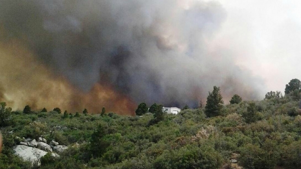 Homeless Rescues During Wildfire Season